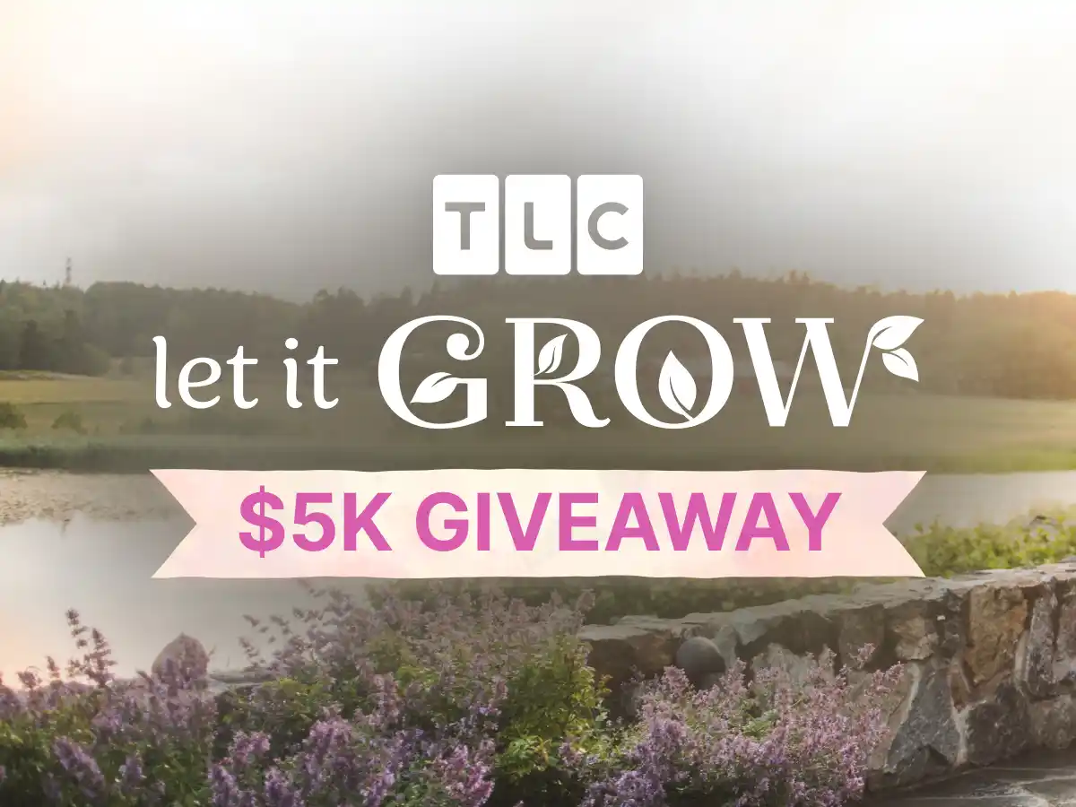 TLC Ultimate Backyard Oasis $5K Giveaway